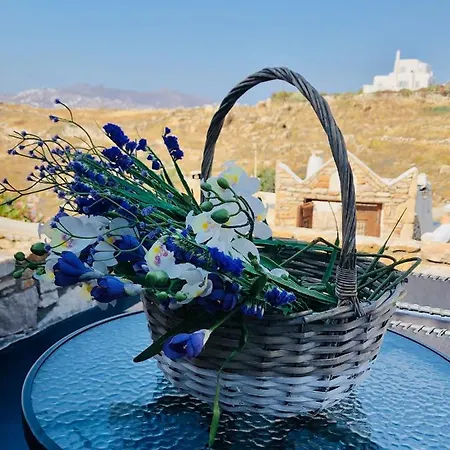 Koxyli Of Mykonos *